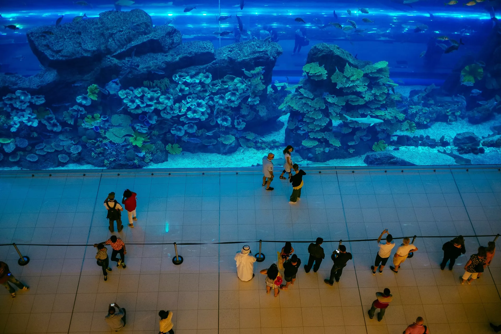 Mall Aquarium