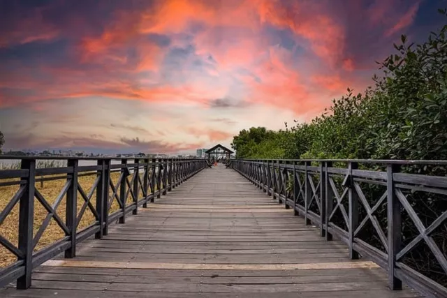Las 5 bellezas de Guayaquil